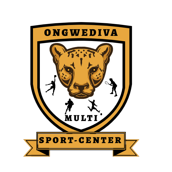 multisport-ongwediva.de